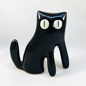 Чёрный питерский кот