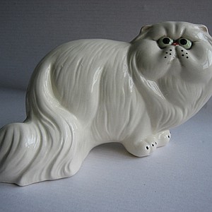 Персидский кот белый