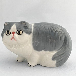 Персидский кот малый бело-серый