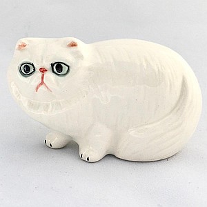Персидский кот малый белый
