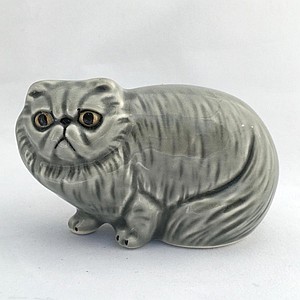 Персидский кот малый серый