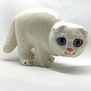 Скоттиш-фолд белый