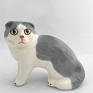Скоттиш-фолд малый бело-серый