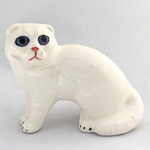 Скоттиш-фолд малый белый