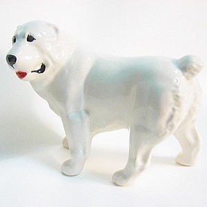 Алабай белый