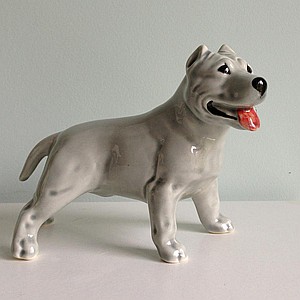 Американский стаффордширский терьер серый