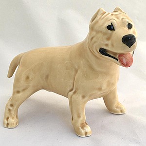 Американский стаффордширский терьер палевый