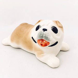 Английский бульдог малый половый