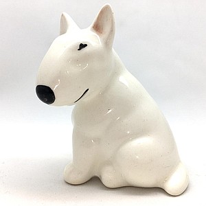 Бультерьер малый белый