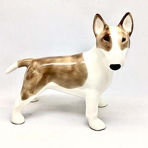 Бультерьер в стойке в коричневом плаще