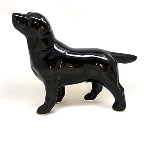 Лабрадор чёрный