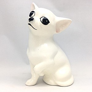 Чихуахуа белая