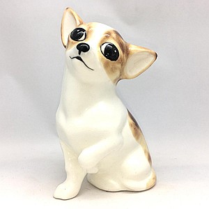 Чихуахуа красно-пегая