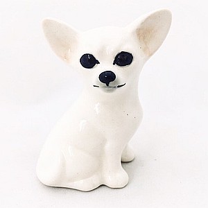 Чихуахуа малая белая