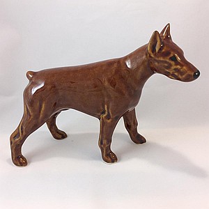 Доберман красно-коричневый