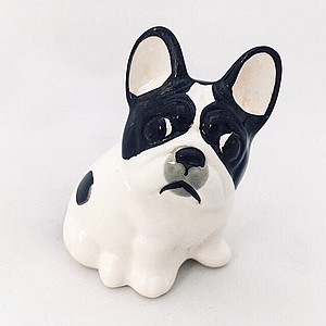 Французский бульдог малый бело-черный