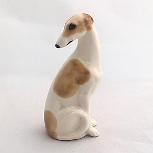 Грейхаунд малый пегий