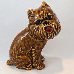 Гриффон бельгийский