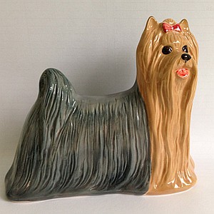 Йоркширский терьер