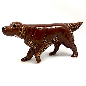 Ирландский сеттер