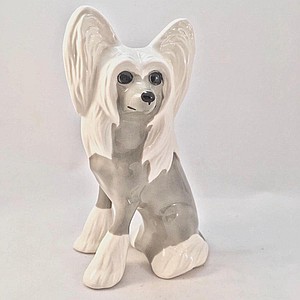 Китайская хохлатая бело-серая