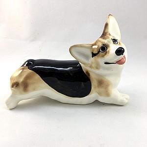 Корги трёхцветный