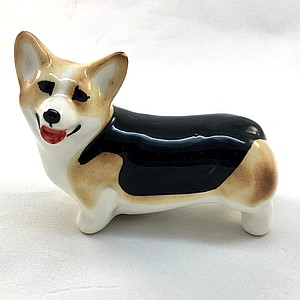 Корги малый трёхцветный