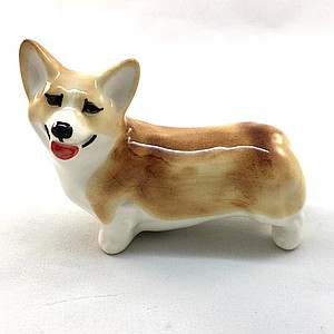 Корги малый рыже-белый