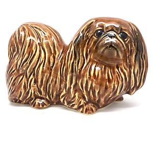 Пекинес рыжий