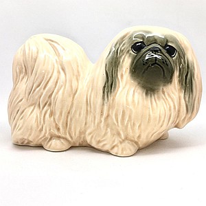 Пекинес светло-палевый