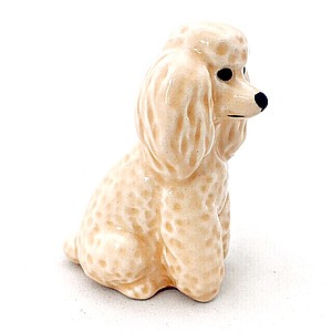 Пудель малый абрикосовый