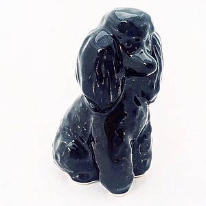 Пудель малый черный