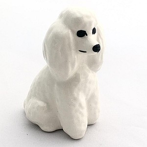 Пудель малый белый