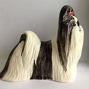 Шит-цу черно-белый