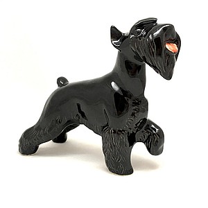 Шнауцер чёрный