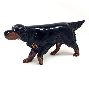 Шотландский сеттер