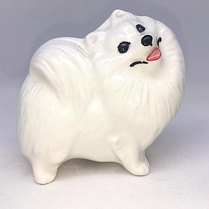 Шпиц малый белый