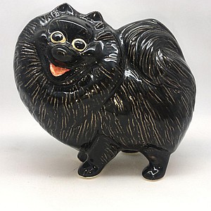 Шпиц черный