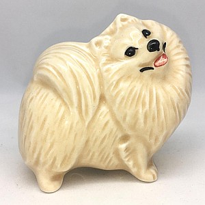 Шпиц малый кремовый