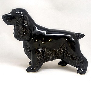 Спаниель чёрный