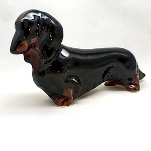 Такса длинношёрстная черная